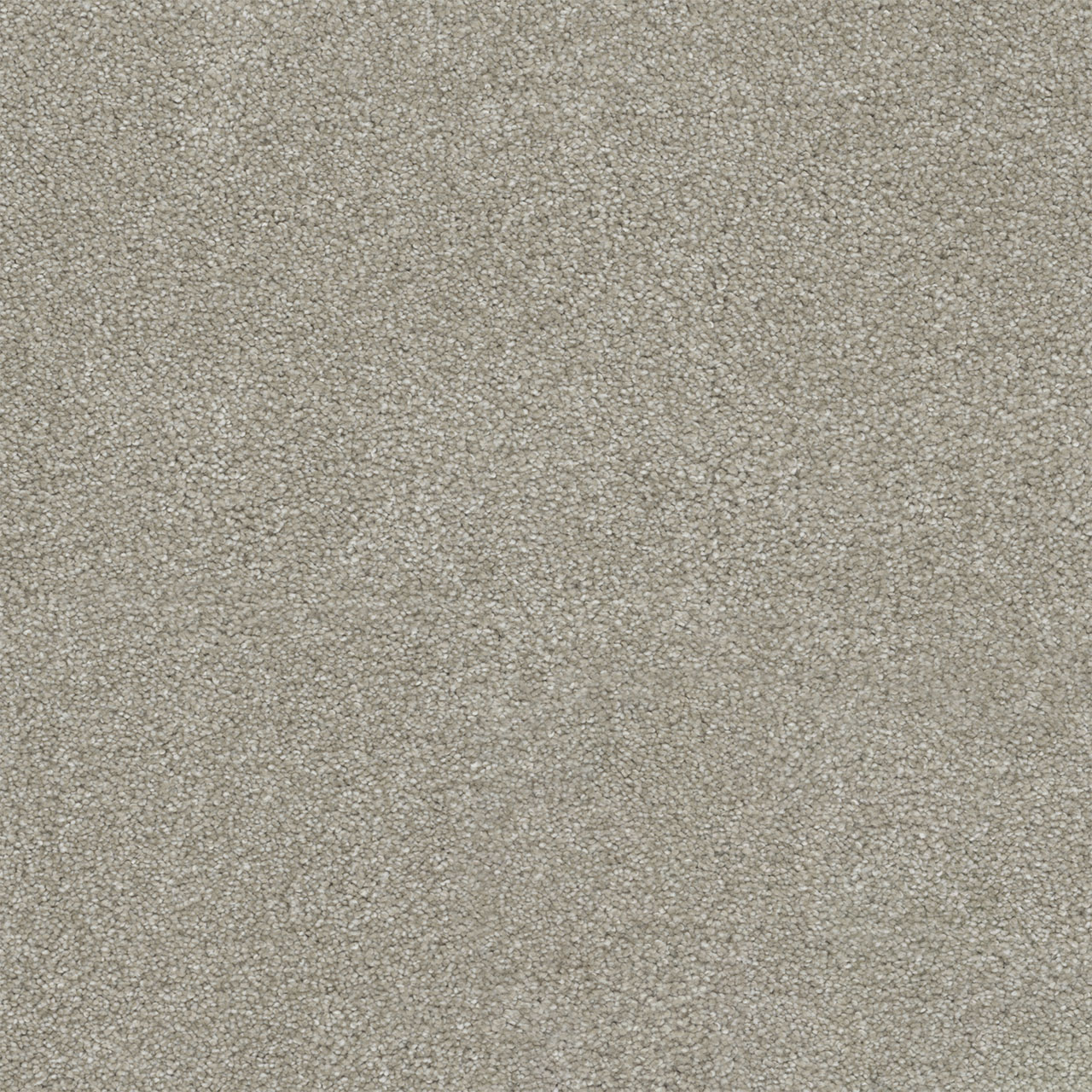 Parchment Rock Solid I swatch