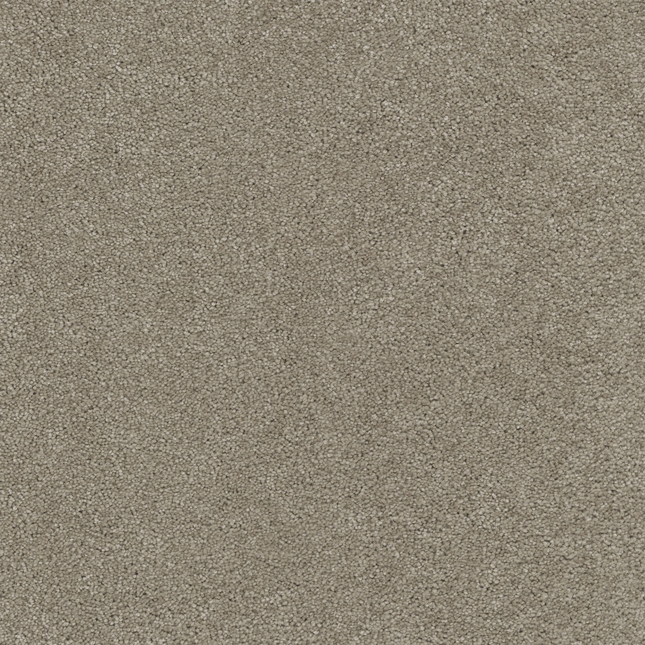 Warm Teak Rock Solid II swatch