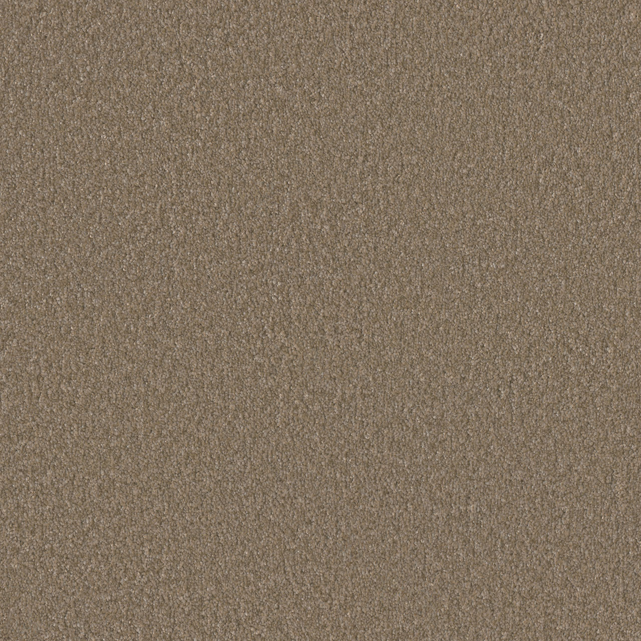 Fox Tail Rock Solid III swatch