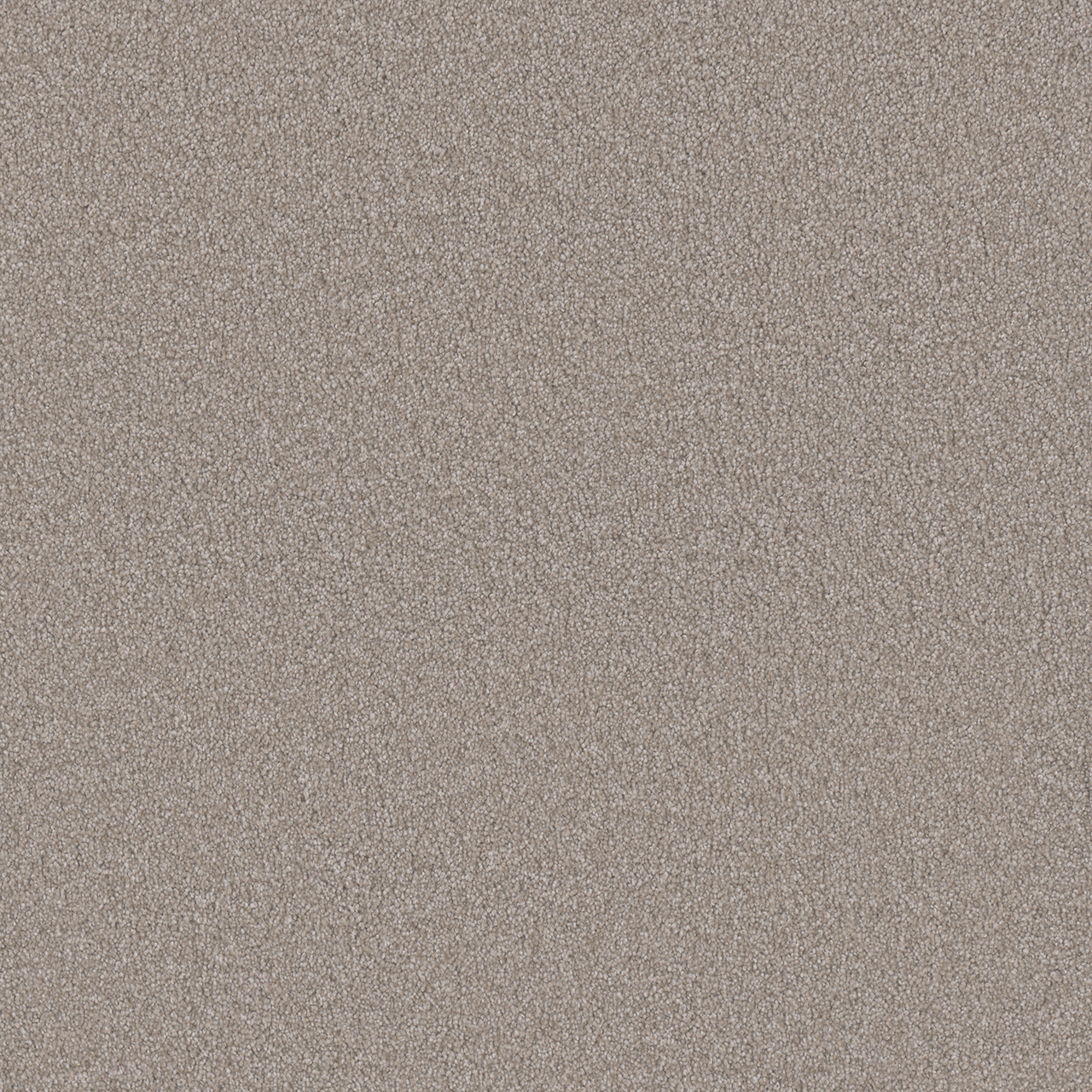 Parchment Royale I swatch
