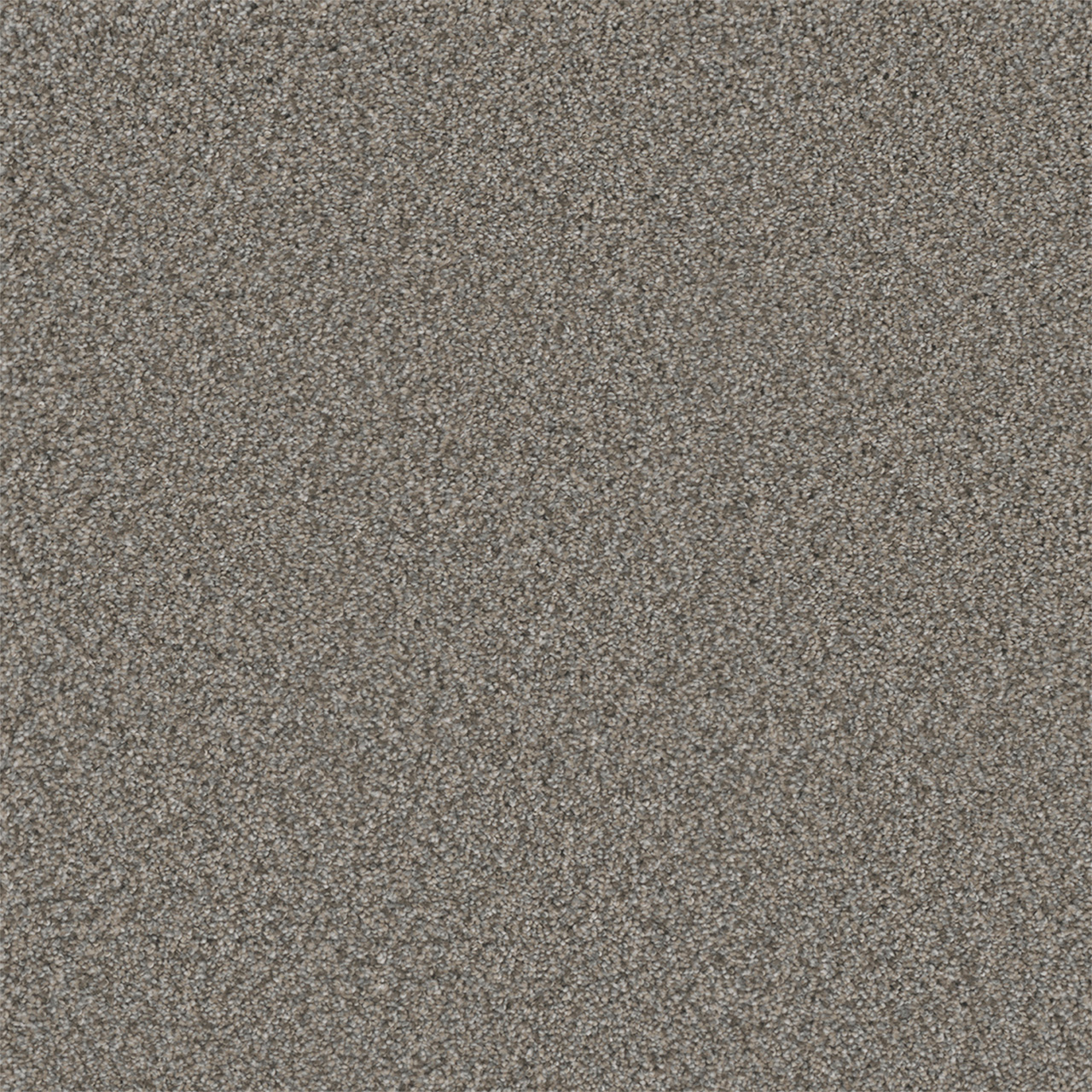 Dogwood Royale II swatch