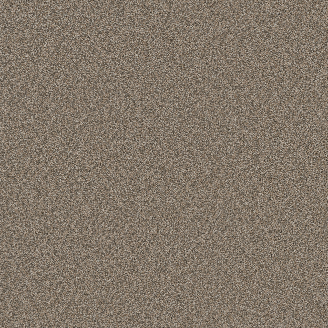 Umber Royale II swatch
