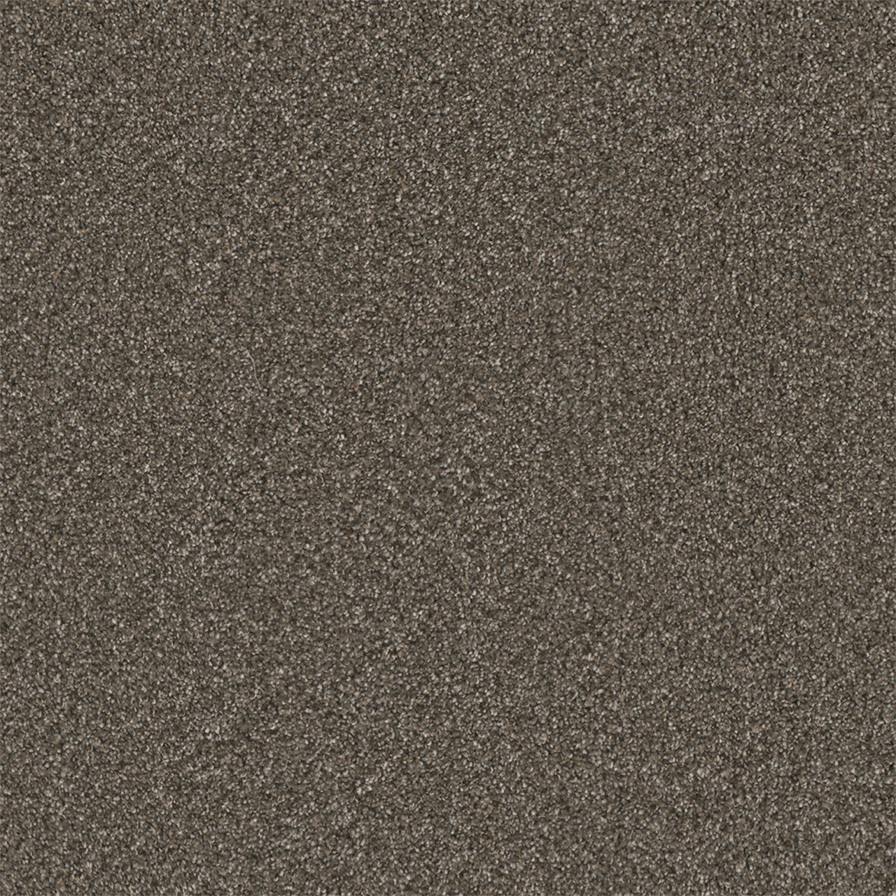 Rugby Royale III swatch
