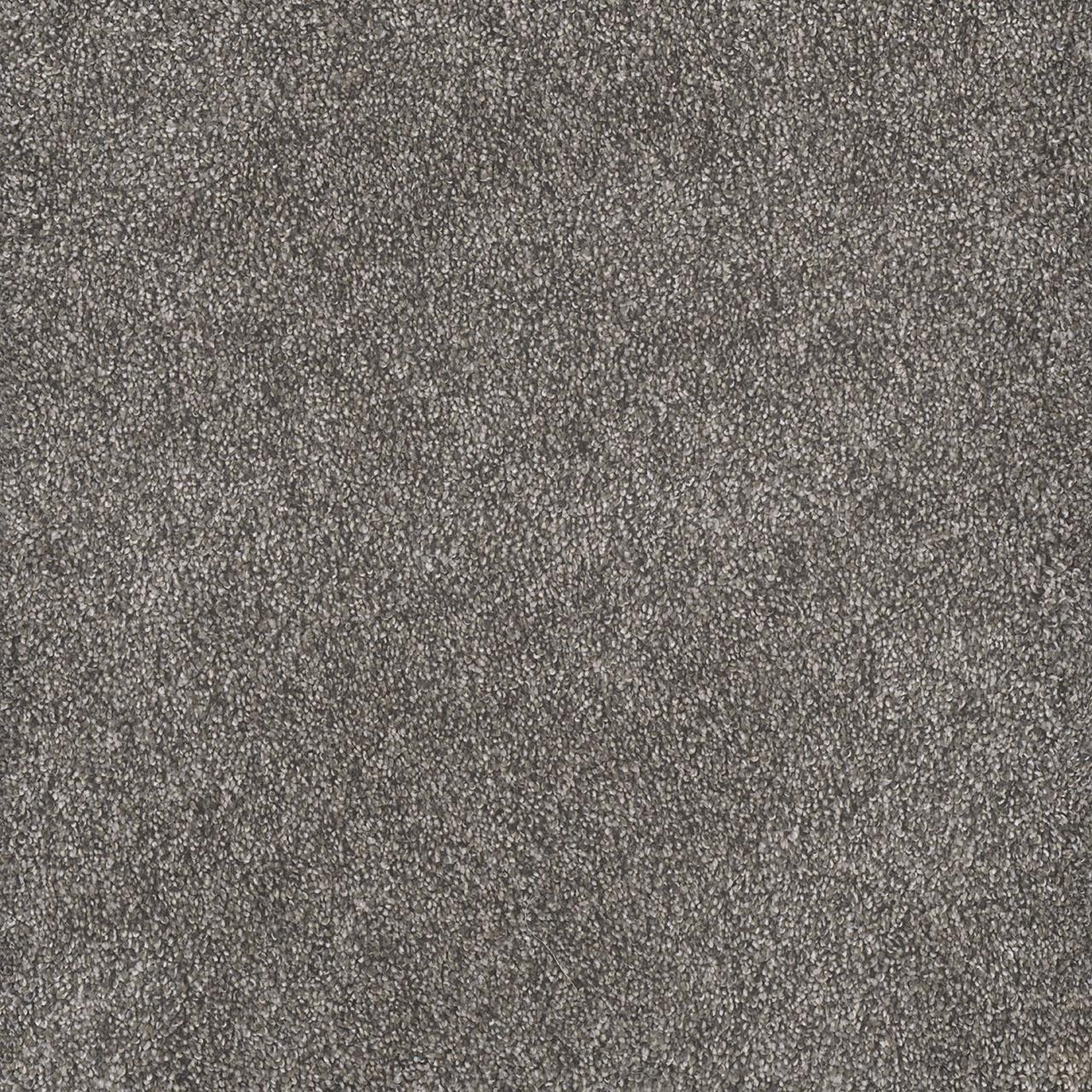 Cloud Coast Rustic Retreat I swatch
