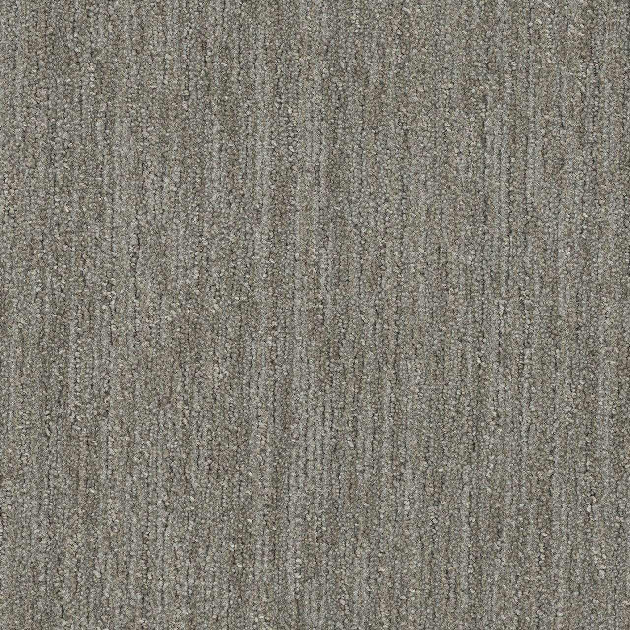 Barrel Cactus Baja swatch