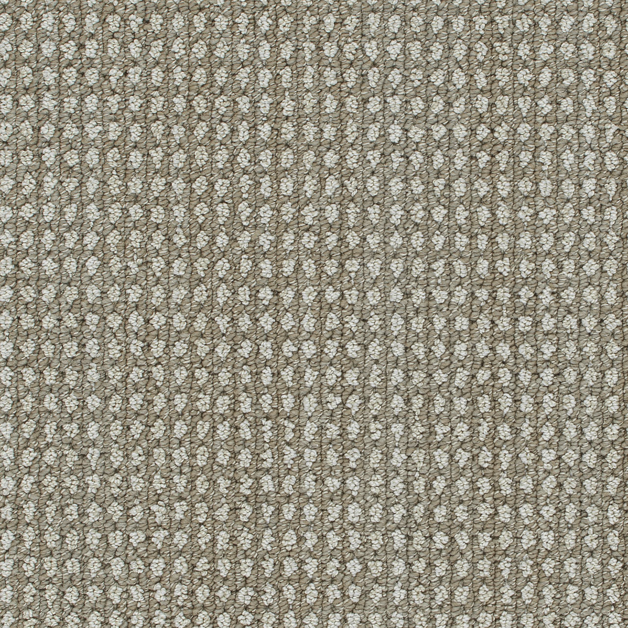 Shetland Brunswick swatch