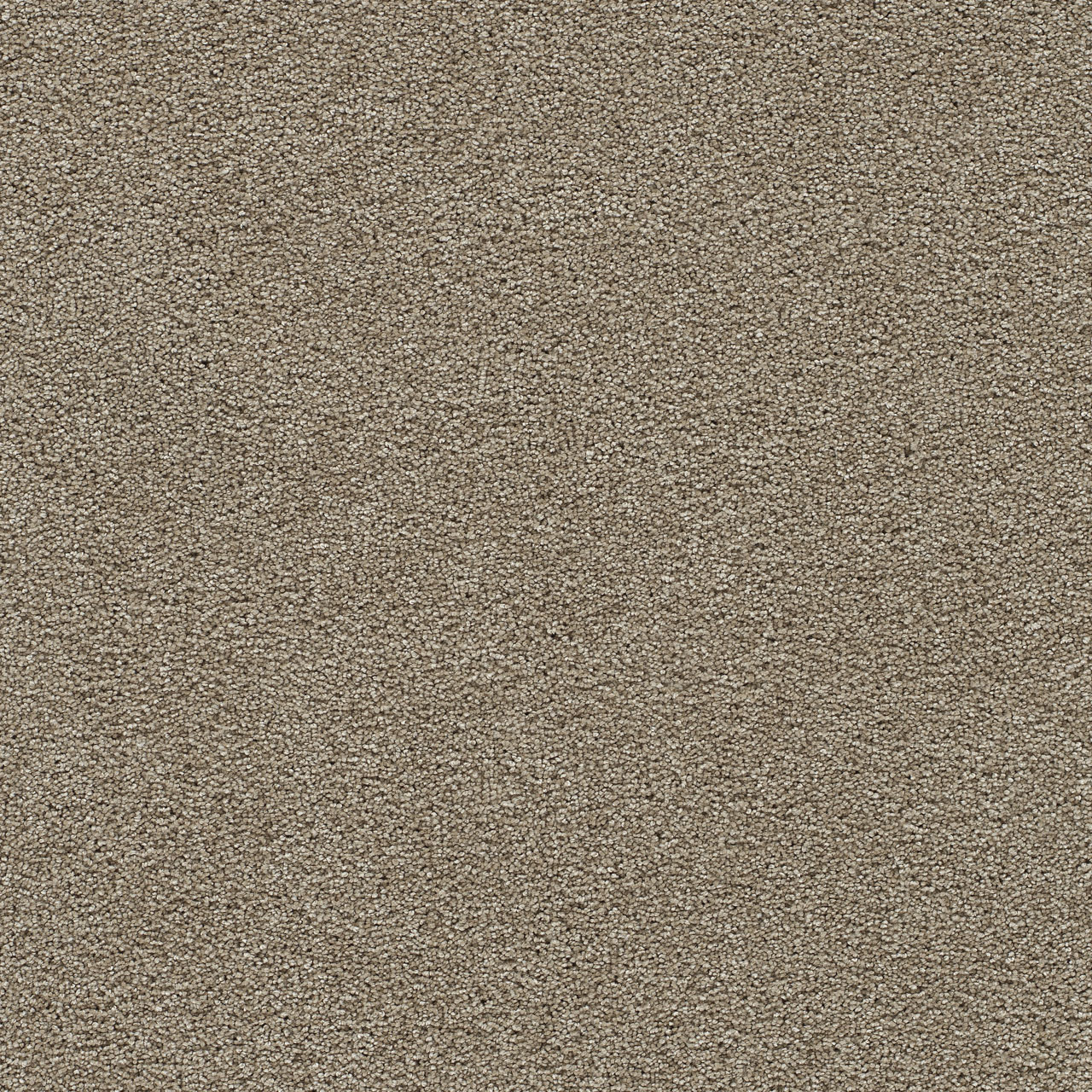 Warm Teak Clear Skies II swatch