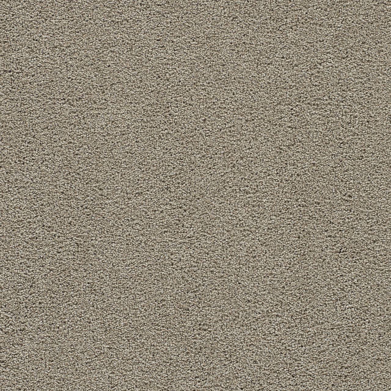 French Oak Clear Skies III swatch