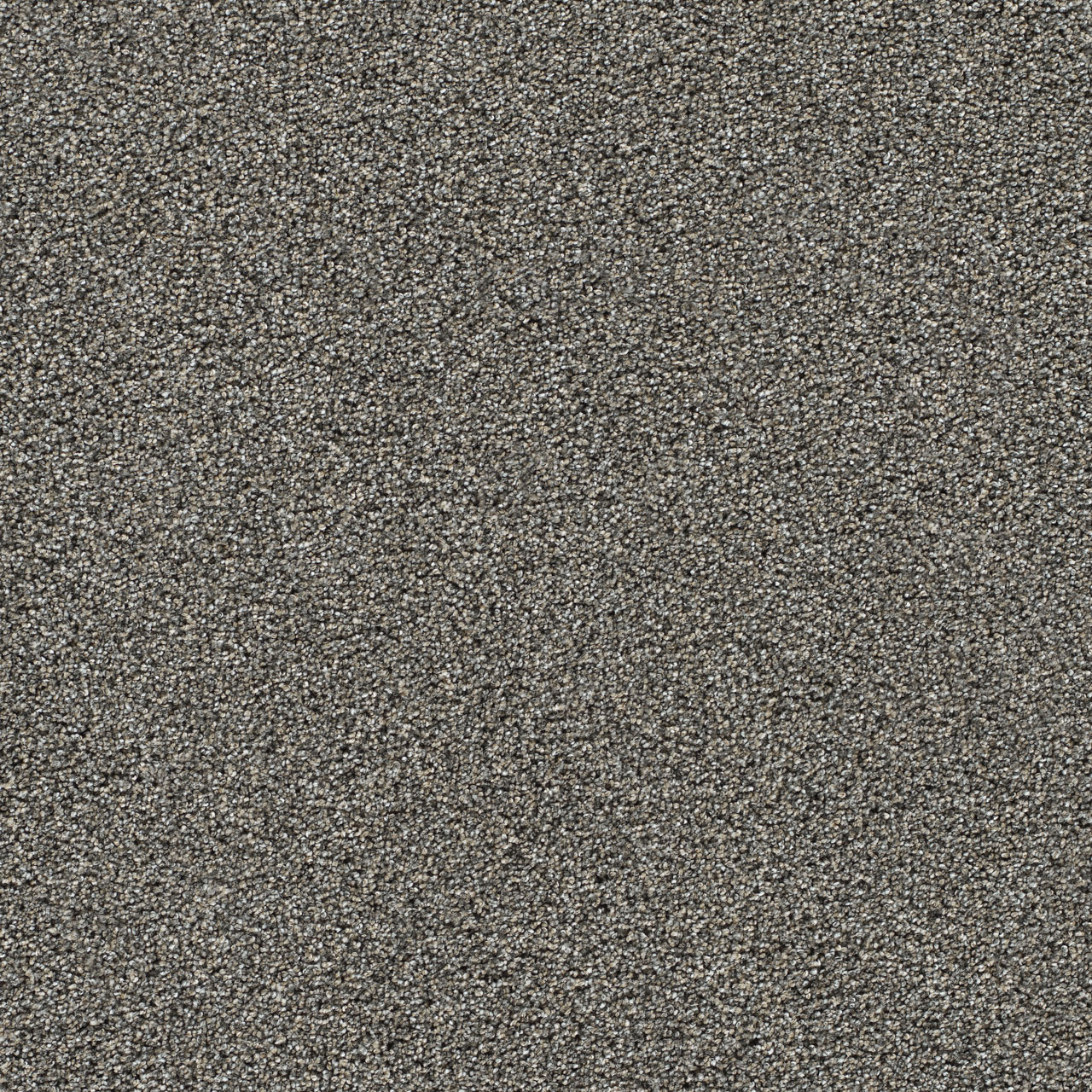 Graphite Gold Standard II swatch