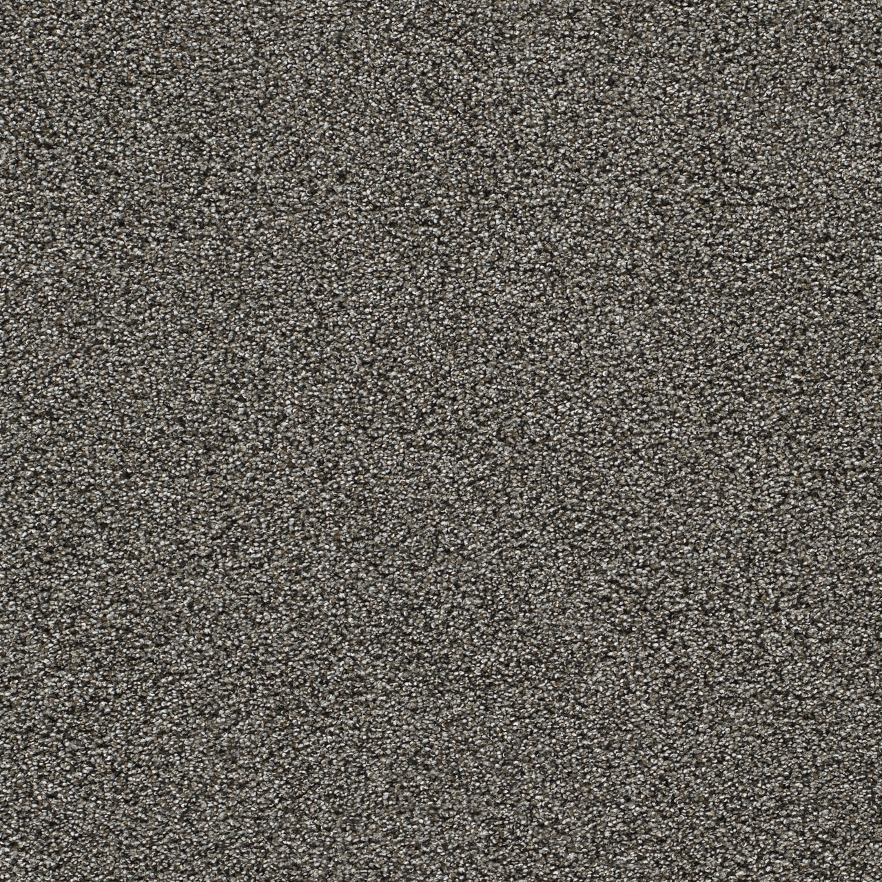Zinc Gold Standard II swatch