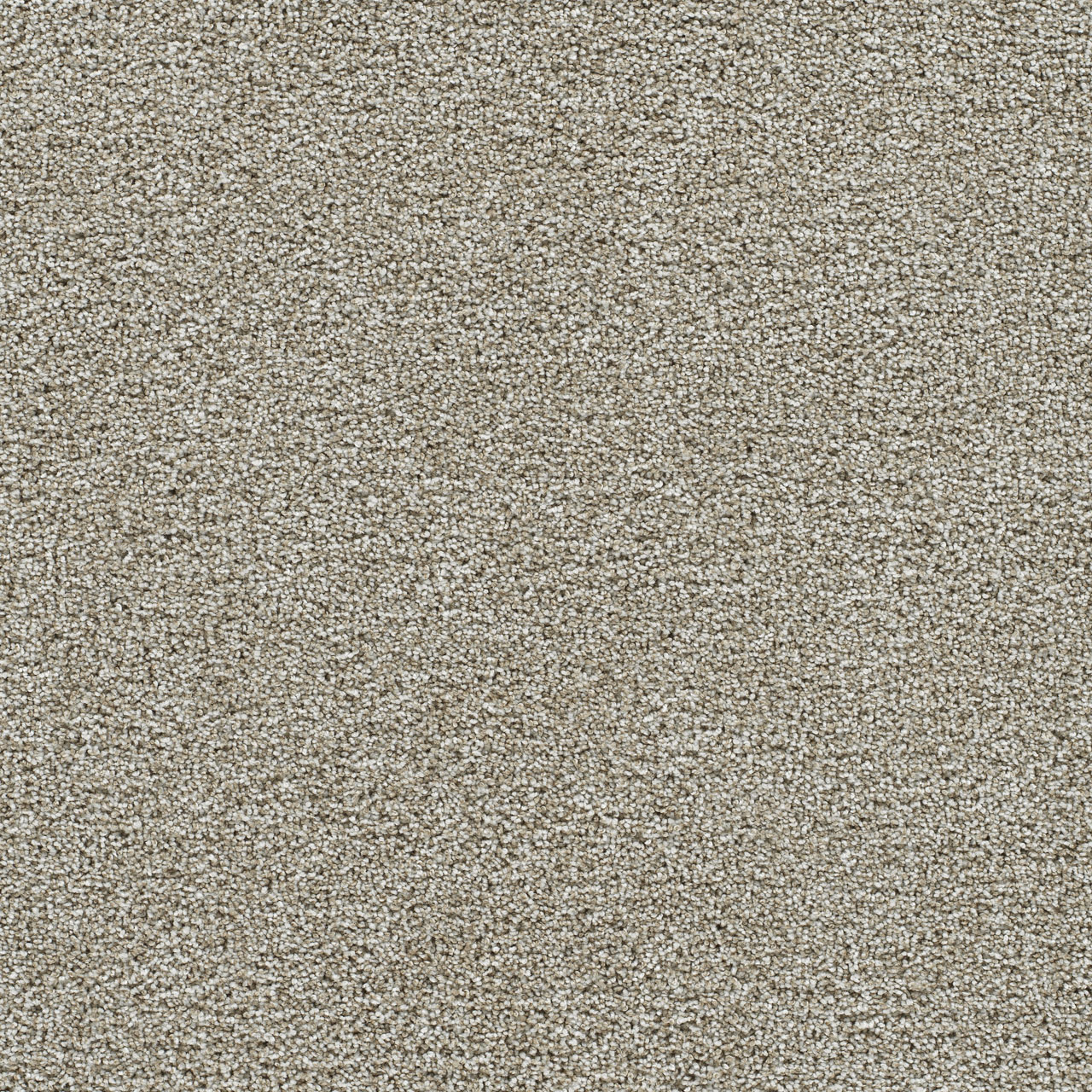 Alloy Gold Standard III swatch