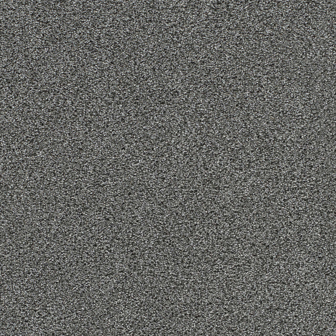 Mica Gold Standard III swatch