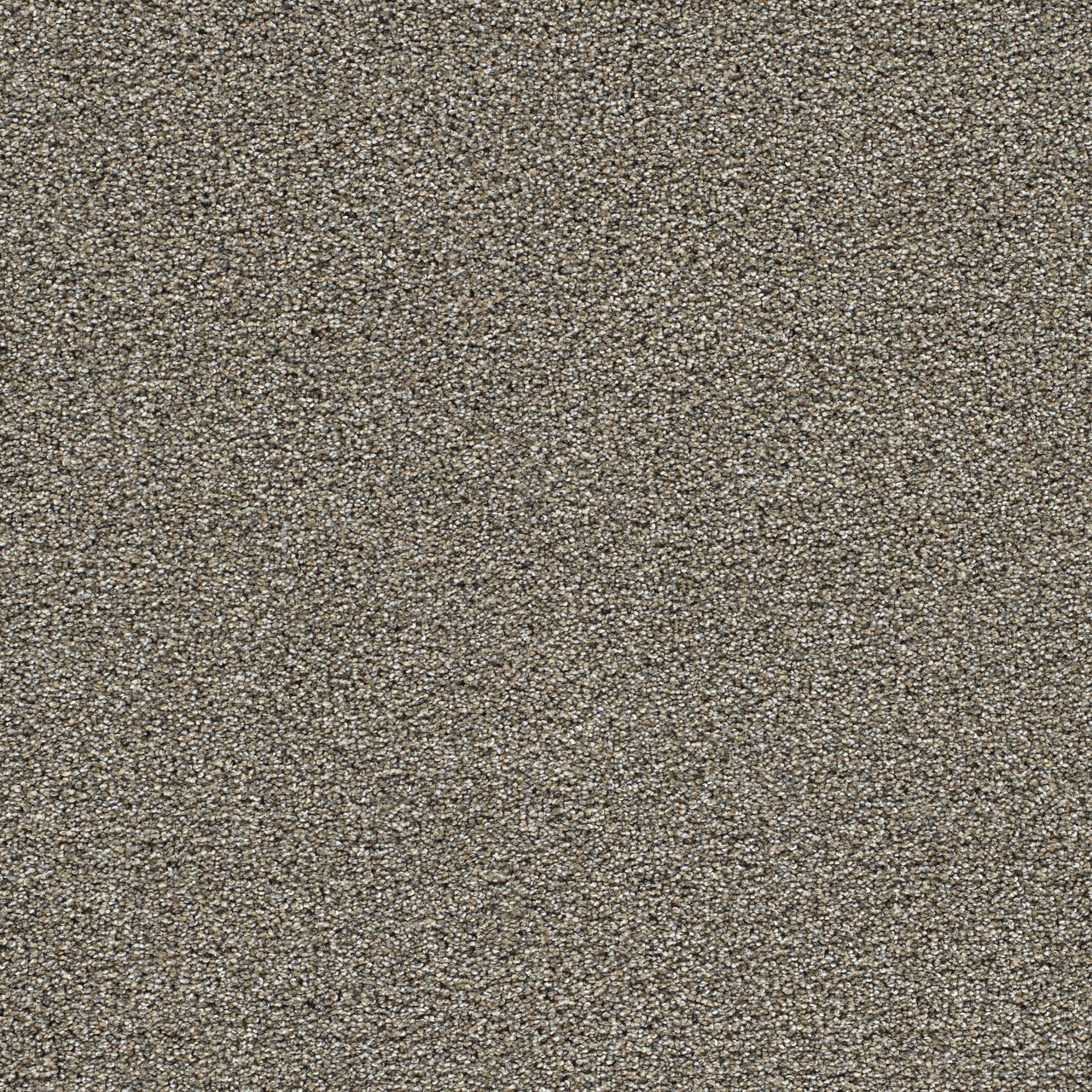 Pewter Gold Standard III swatch