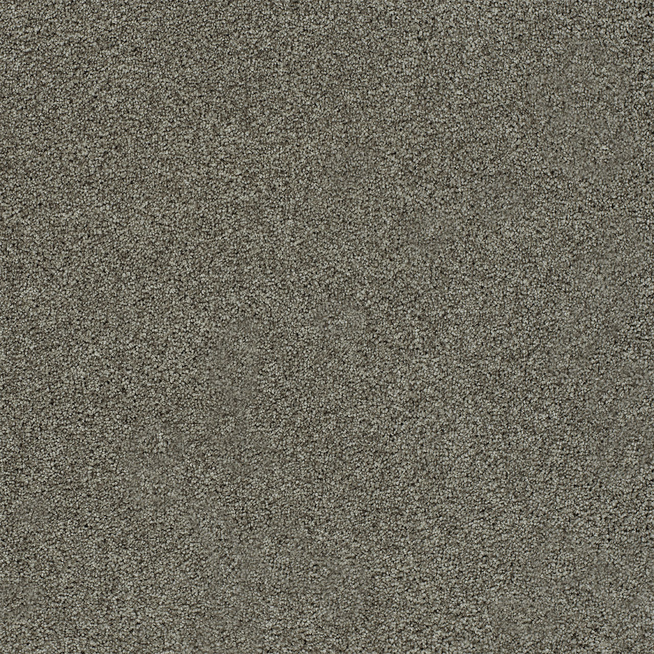 Laguna Heaven Sent II swatch