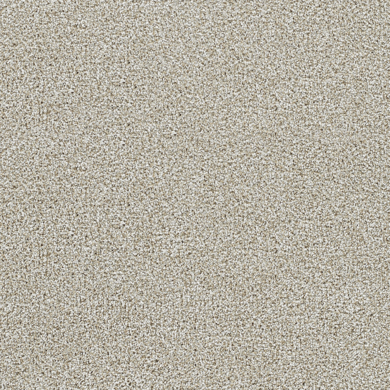 Northlight Lucky Penny I swatch