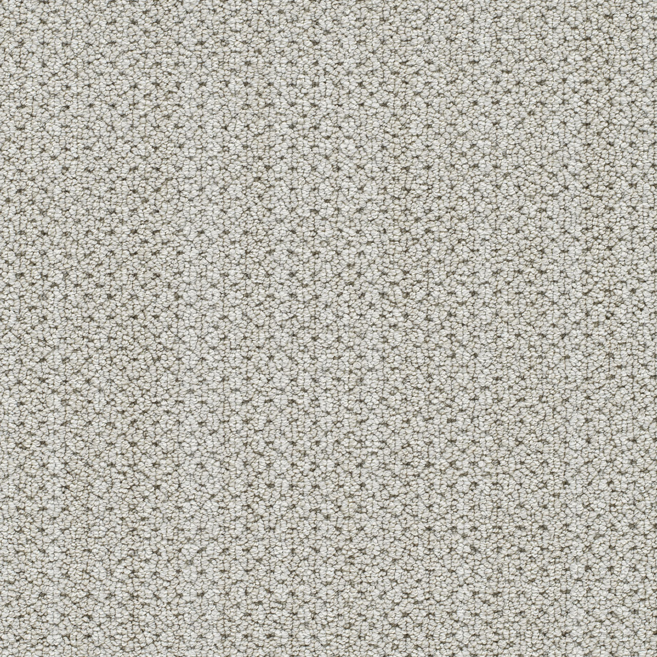 Cabra Montreal II swatch