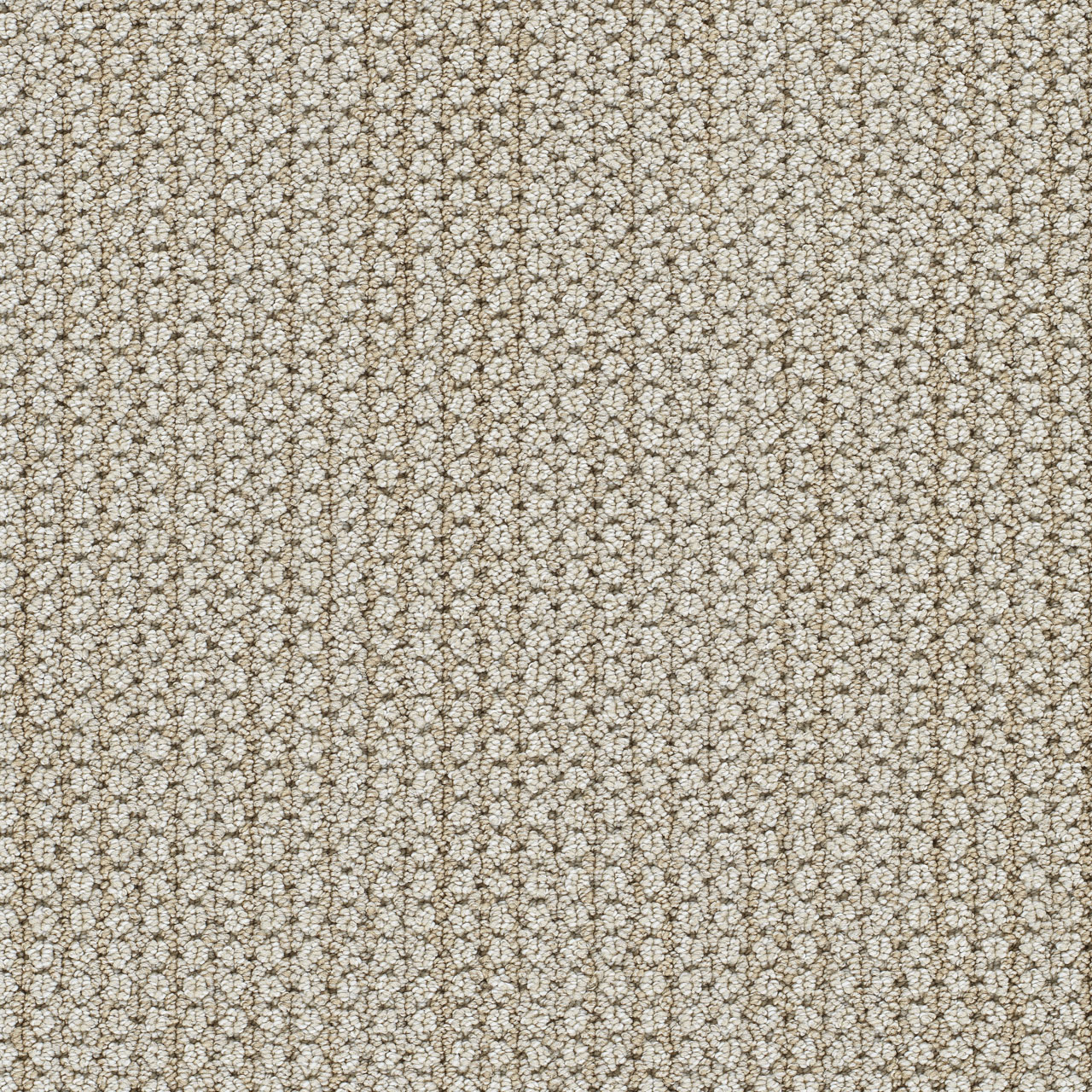 Casa Montreal II swatch