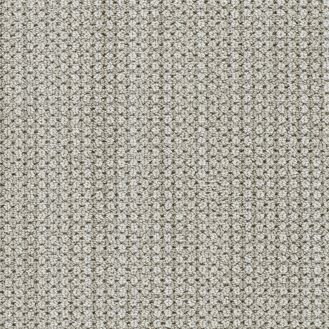 Shellbrook Montreal II swatch