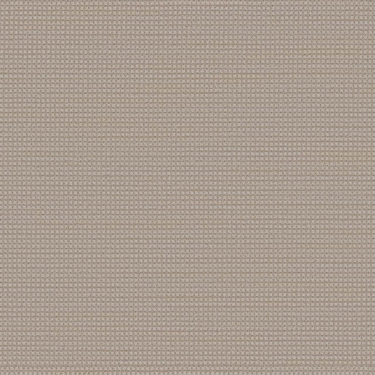 Lion's Bay Montreal swatch
