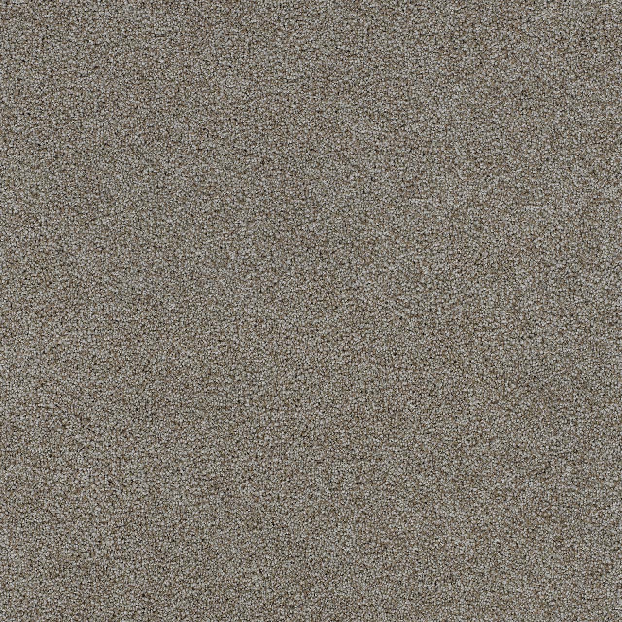 Edgecomb Morning Glory I swatch
