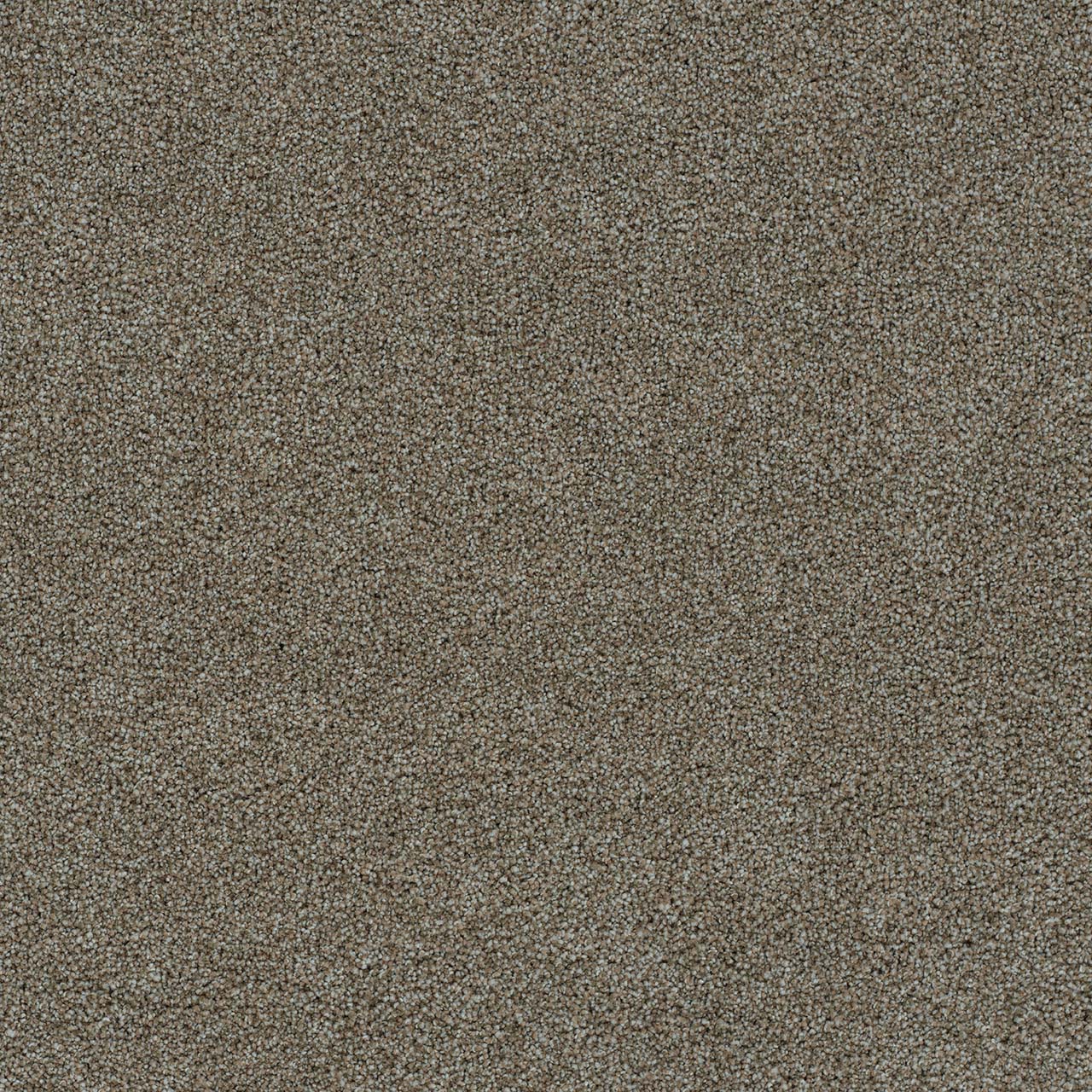 Fiji Sands Morning Glory I swatch