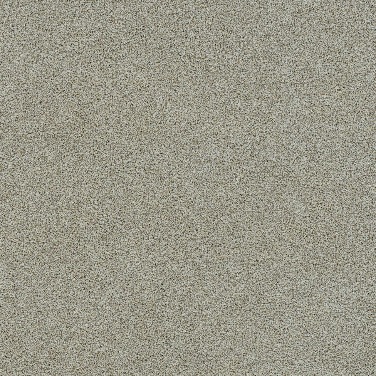 French Silk Morning Glory I swatch