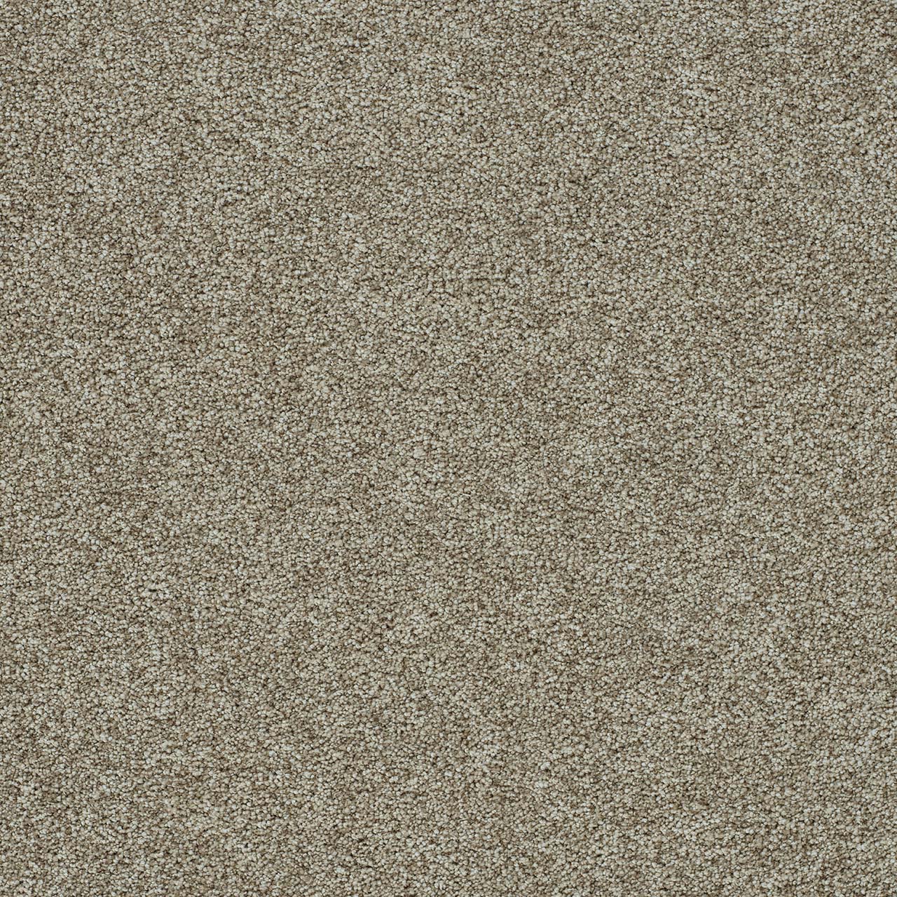 Northwood Morning Glory I swatch