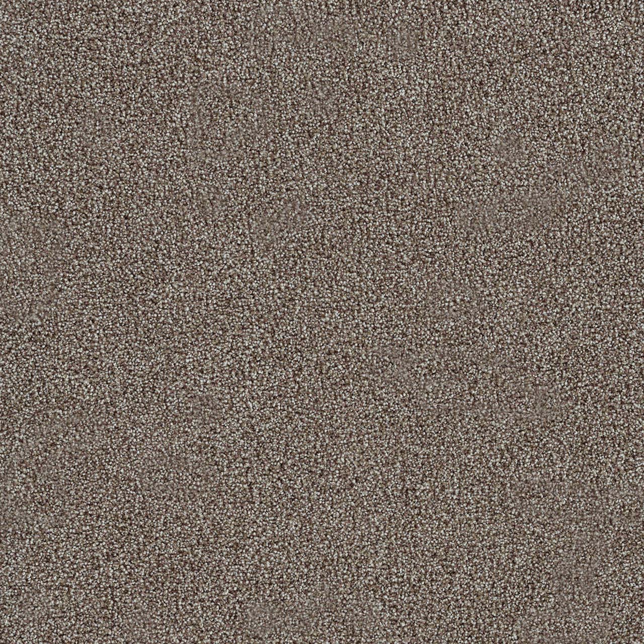 Dewberry Morning Glory II swatch