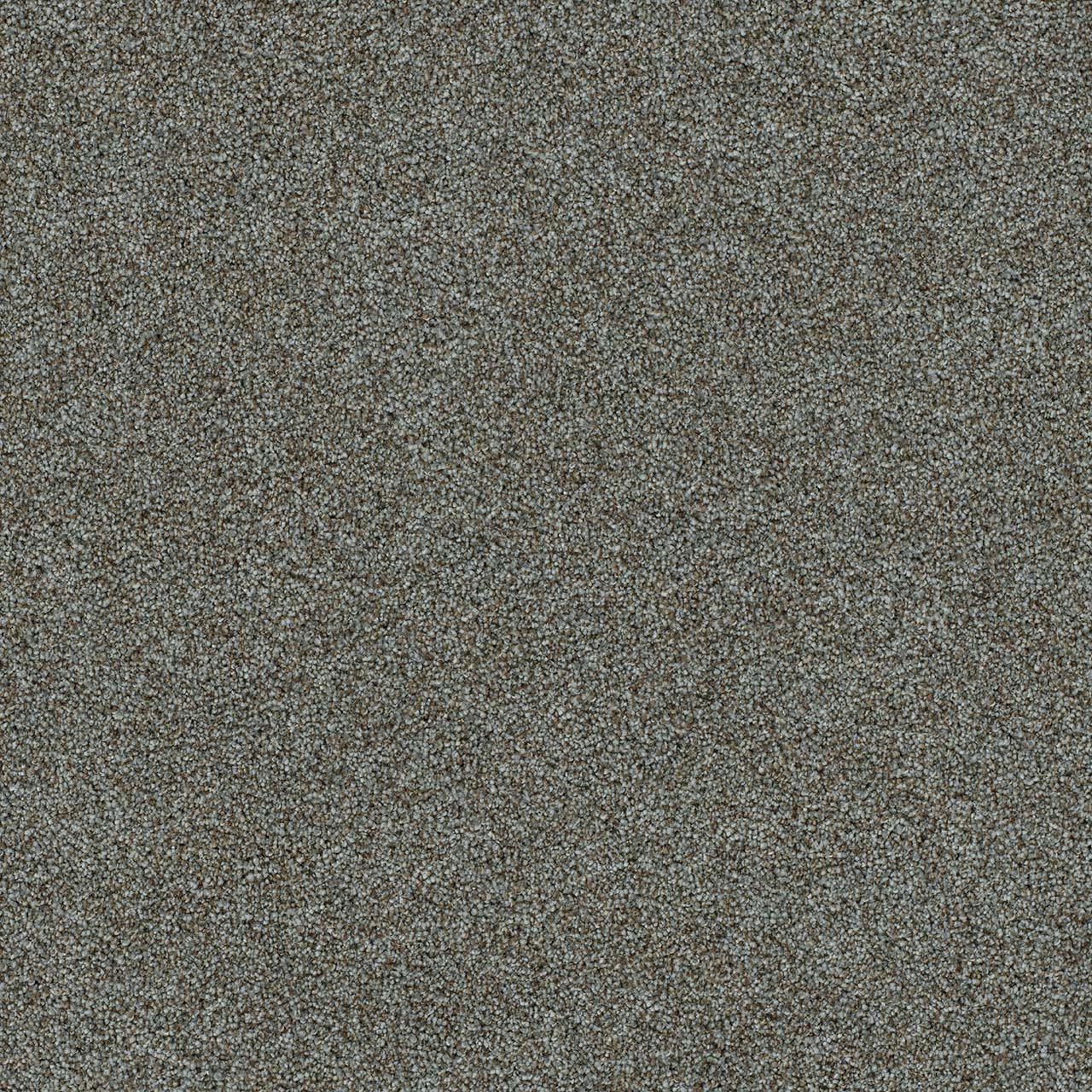Napa Morning Glory II swatch