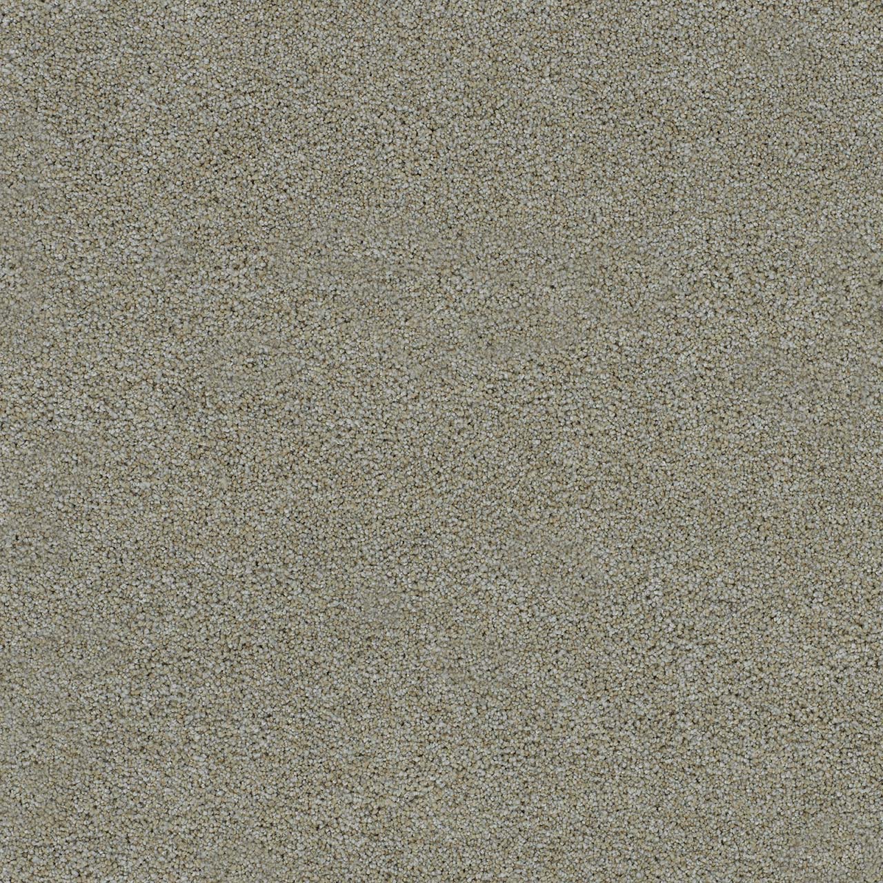 Artic Vibe Morning Glory III swatch