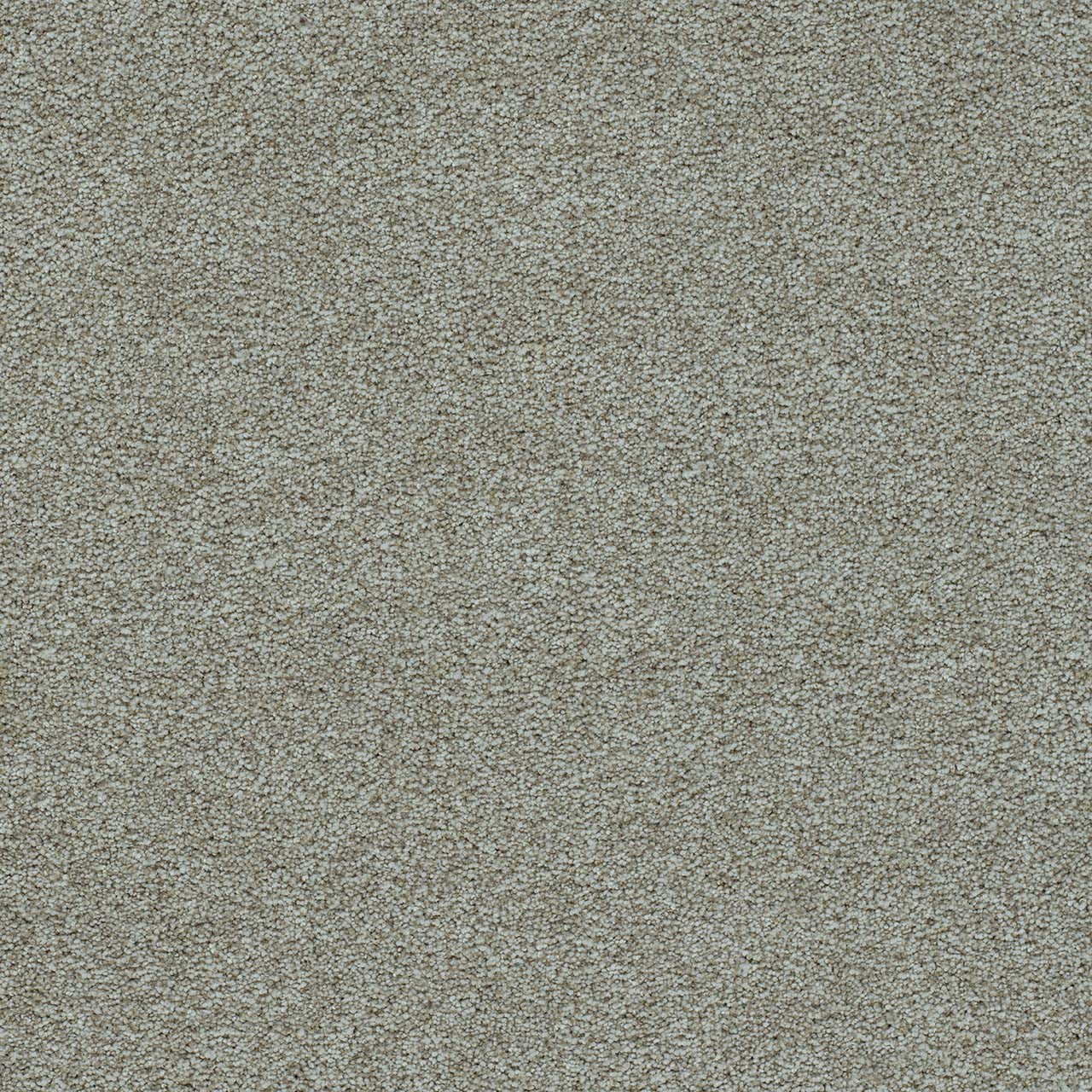 Radiant Morning Glory III swatch