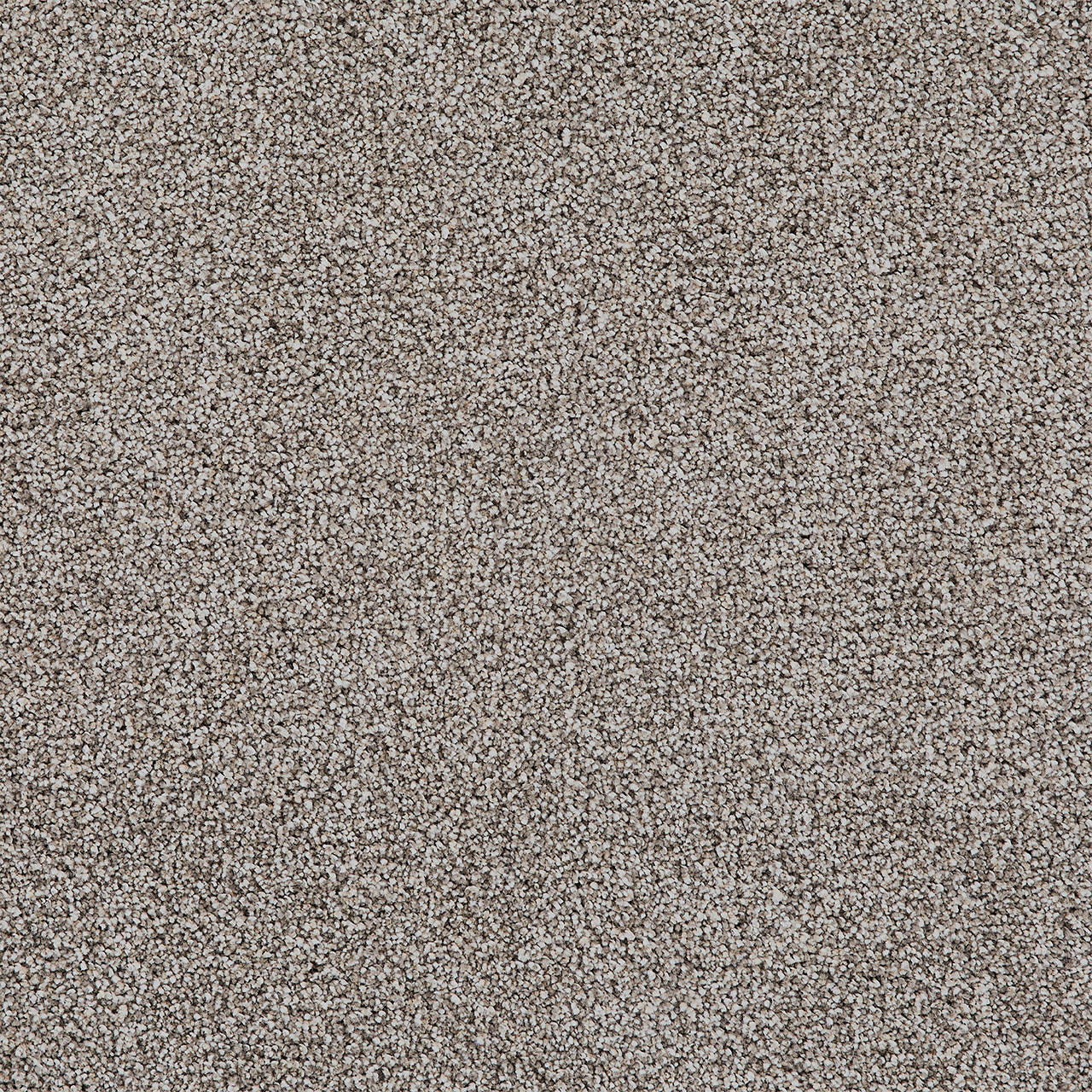 Tiramisu Pretty Penny III swatch