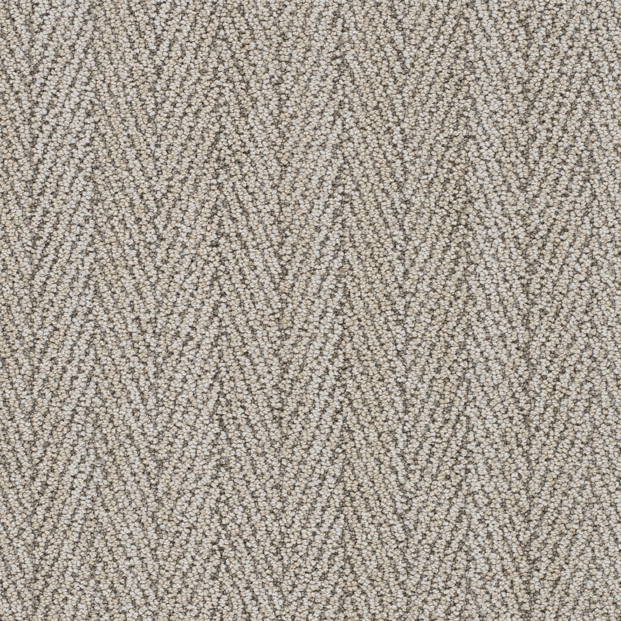 El Camino San Lucas II swatch