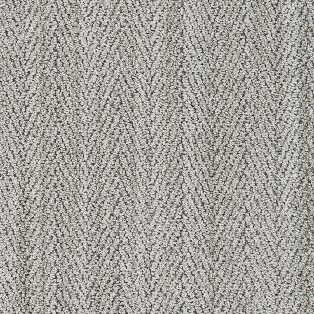Shore San Lucas II swatch