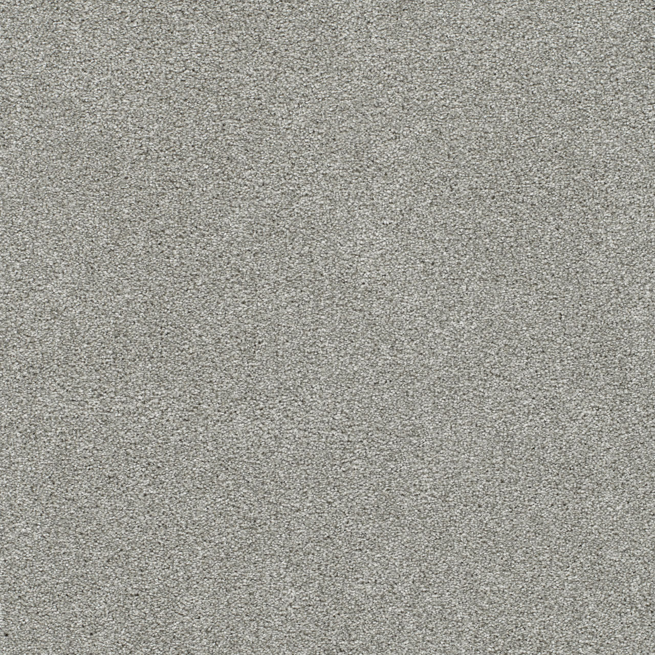 Alto Silver Lining III swatch
