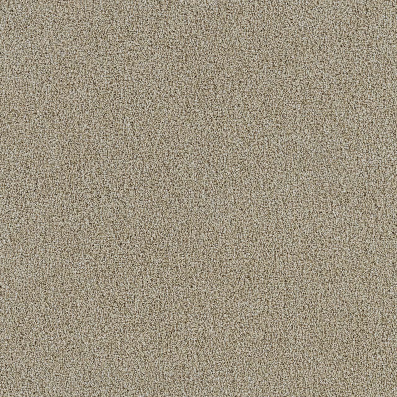 Cream Spectrum II swatch
