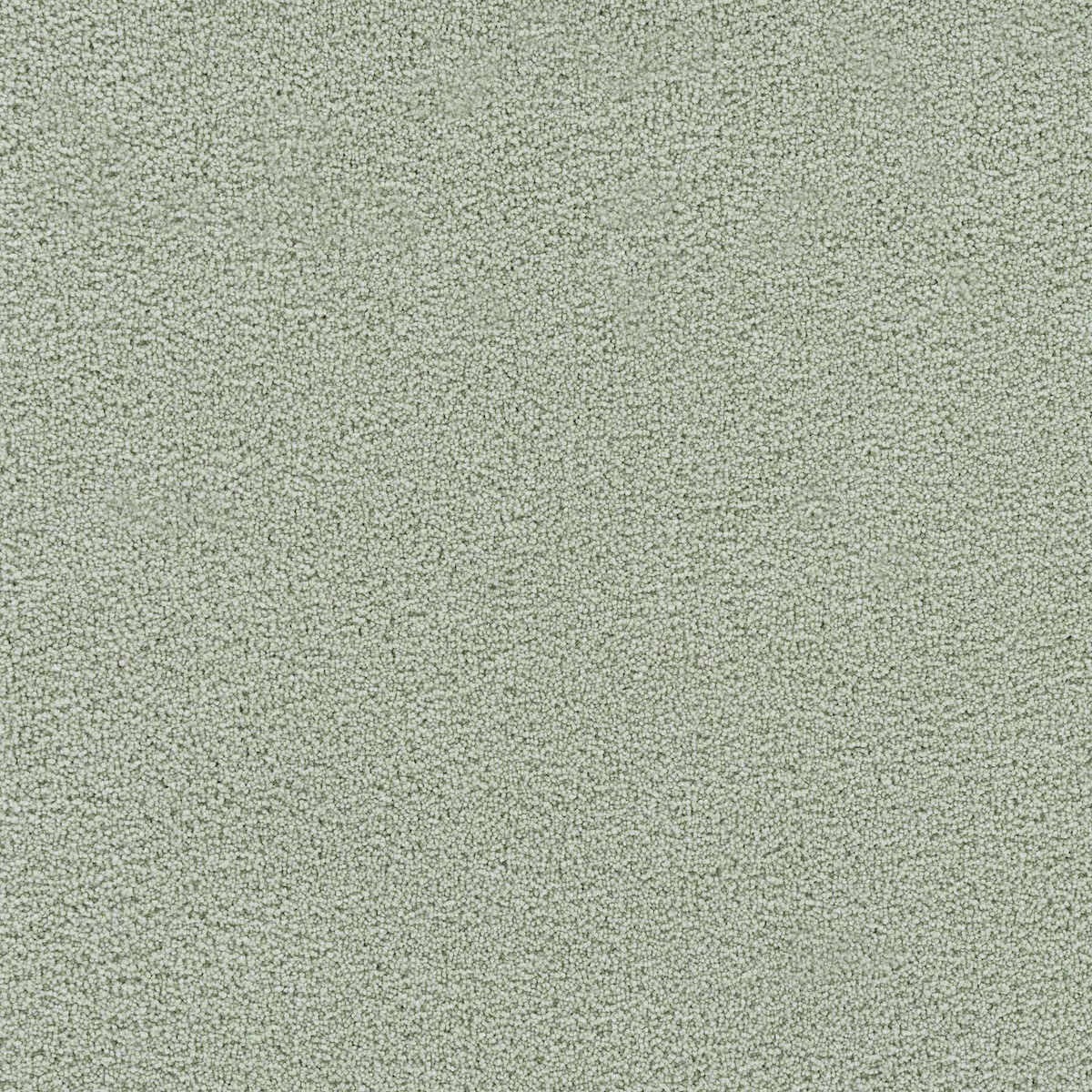 Avocado Spectrum III swatch