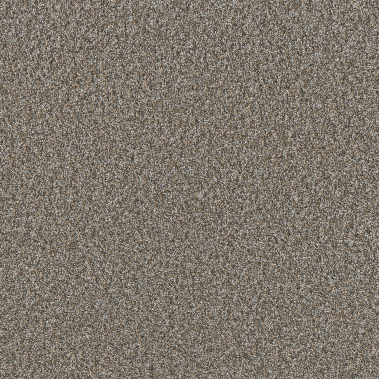 Cedar Key Timberline I swatch