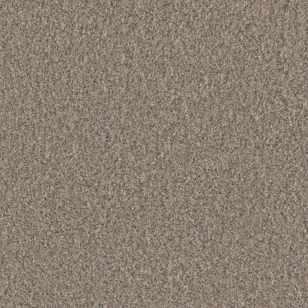 Cozy Path Timberline I swatch