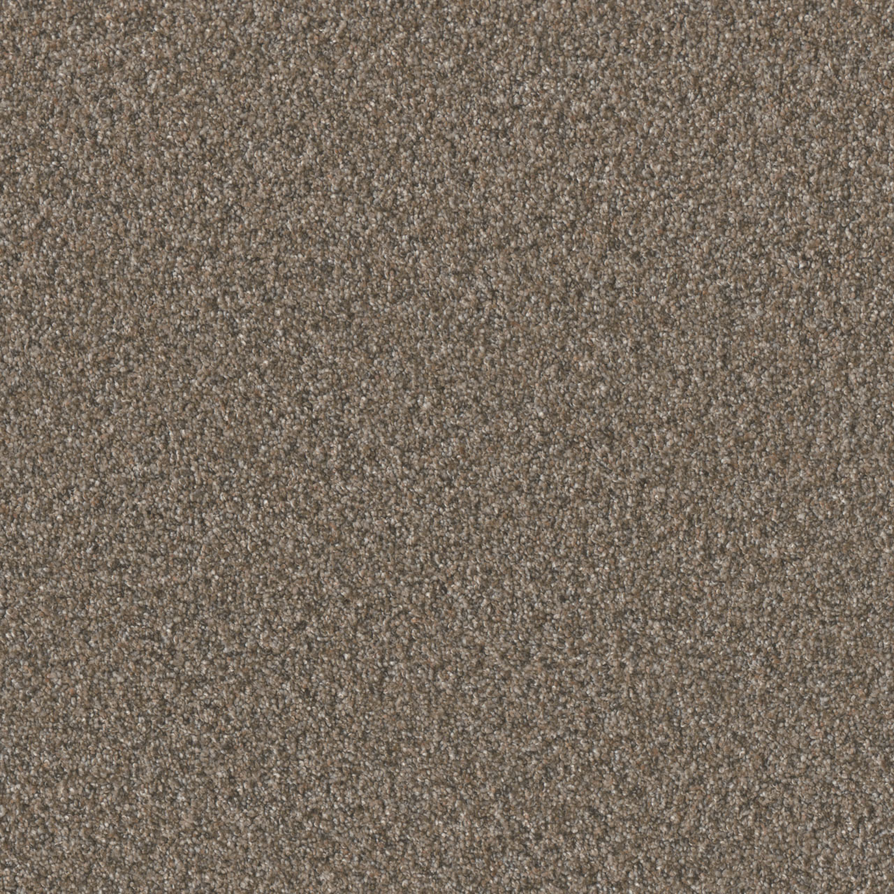 Butterfly Timberline II swatch