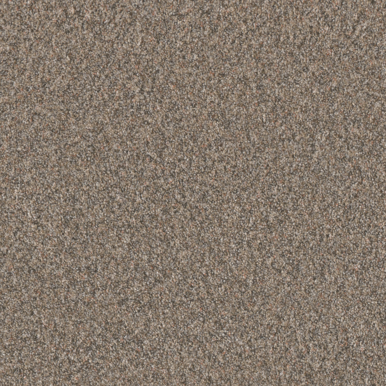 Baked Apple Timberline III swatch