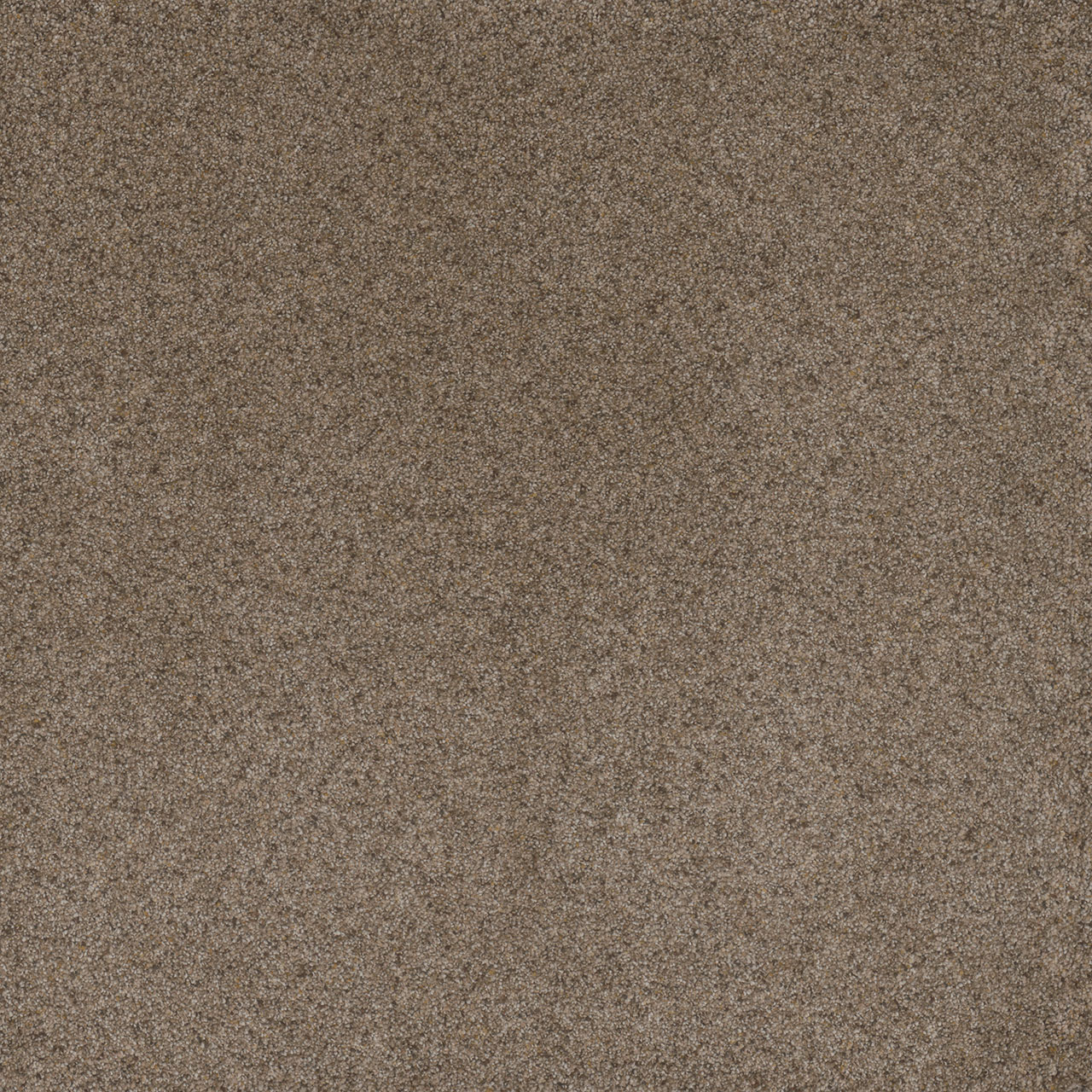 Cinnabar Serene I swatch