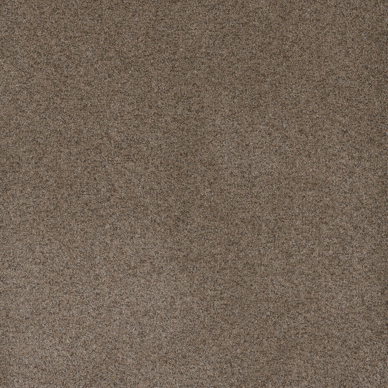 Shellbark Serene II swatch