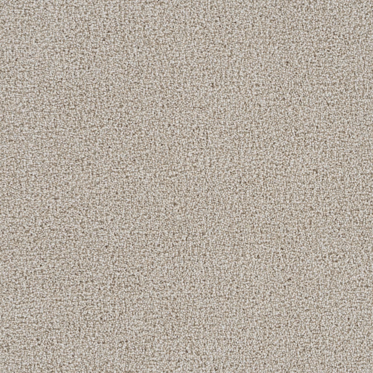 undefined undefined SP250 swatch