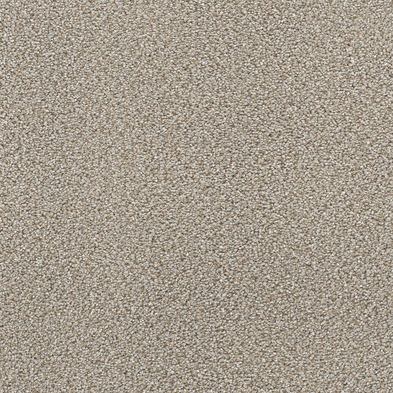 Ash Star Struck swatch