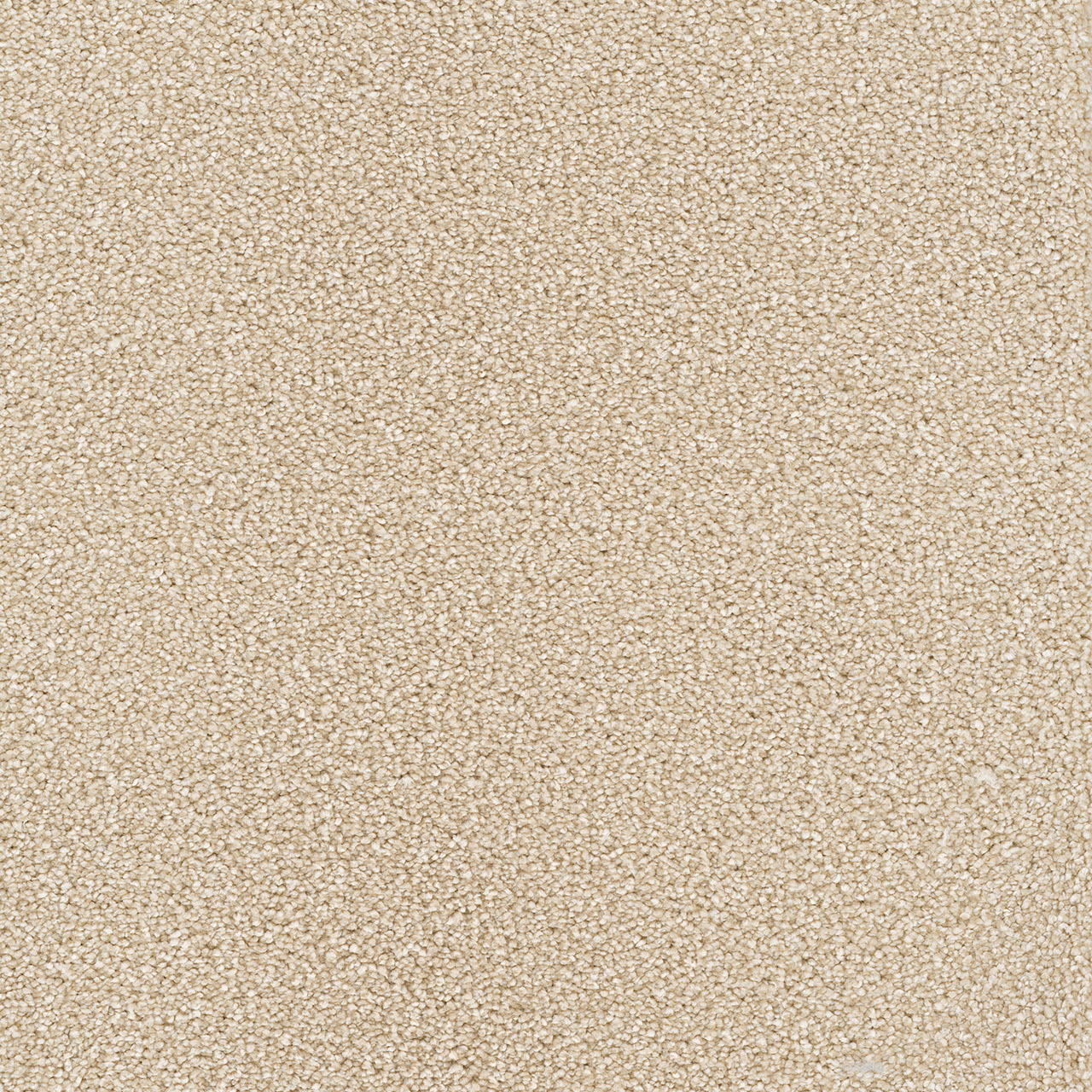 Blush Star Struck swatch