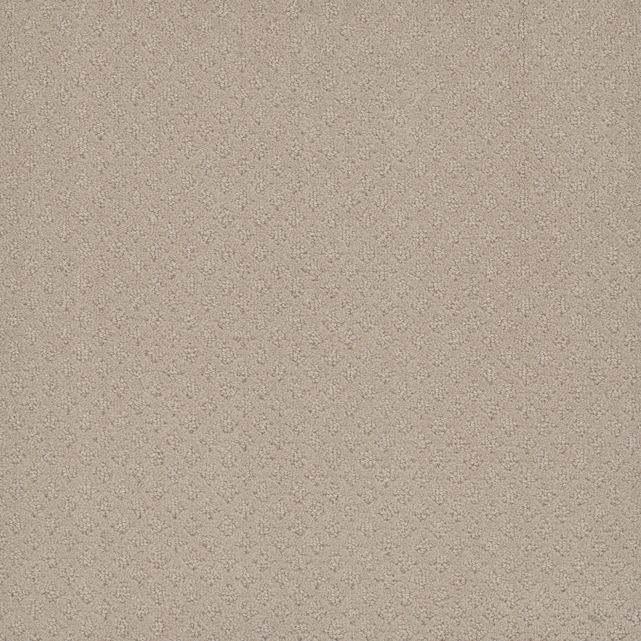 Champagne Fizz Stellar swatch