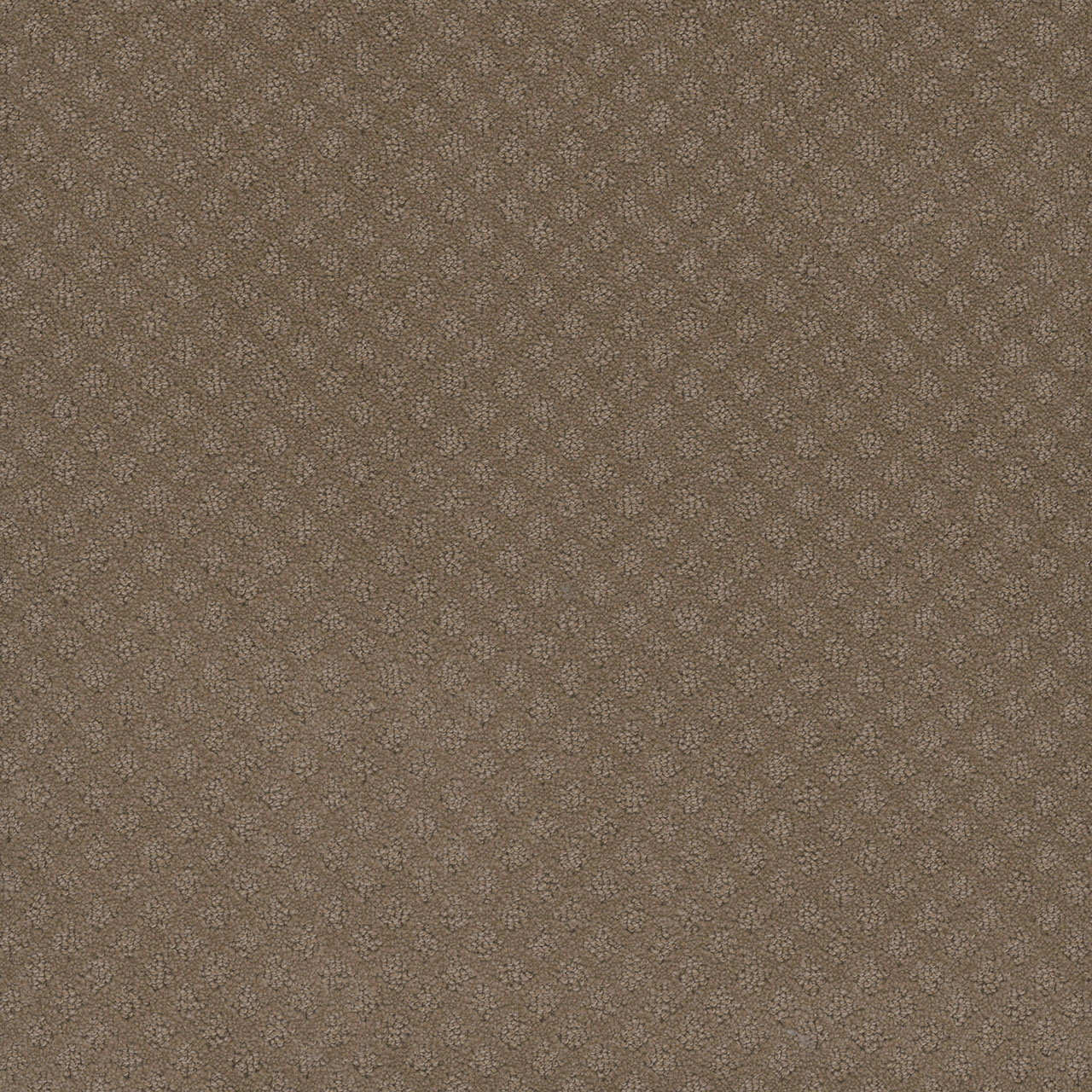 Deer Path Stellar swatch