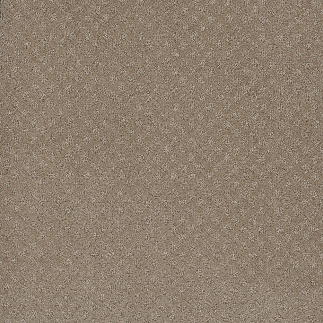 Warm Sand Stellar swatch