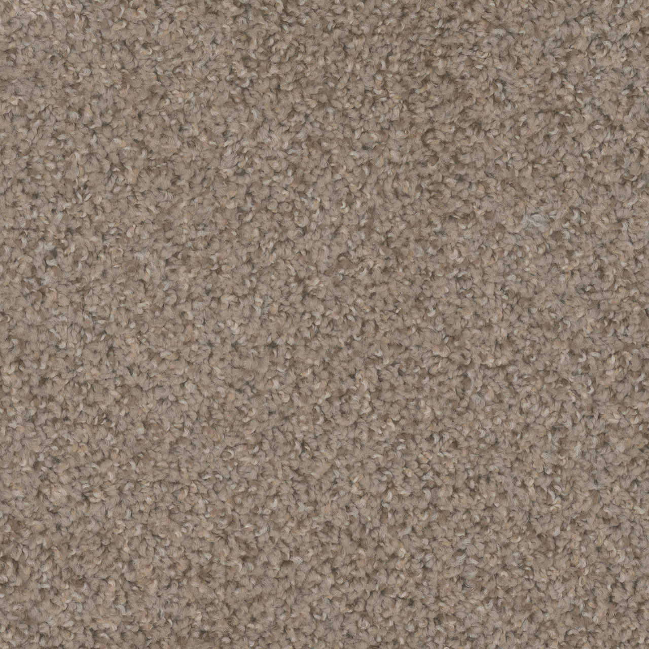 Almond Step Up swatch